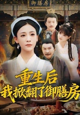 重生后我掀翻了御膳房,重生后我掀翻了御膳房免费下载,短剧,电影云集_电影云集影视网