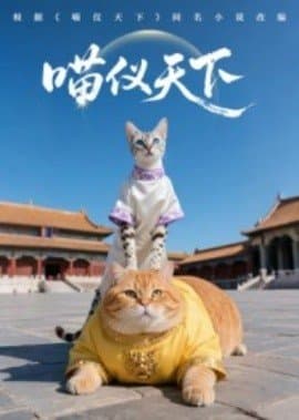 喵仪天下,喵仪天下免费下载,短剧,电影云集_电影云集影视网