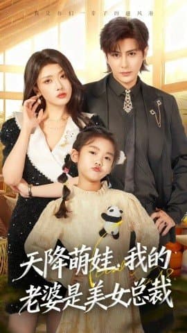 天降萌娃我的老婆是美女总裁,天降萌娃我的老婆是美女总裁免费下载,短剧,电影云集_电影云集影视网