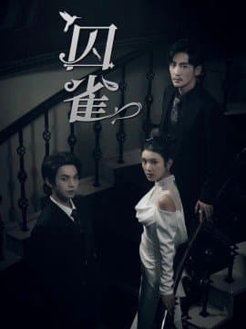 囚雀,卢鹿鹿,叶皓然,短剧,热门短剧,热播短剧,爆款短剧,短剧推荐,资源分享,短剧热度榜,好剧推荐,追剧打卡_电影云集影视网