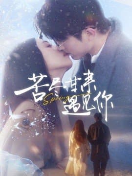 苦尽甘来遇见你,苦尽甘来遇见你免费下载,短剧,电影云集_电影云集影视网