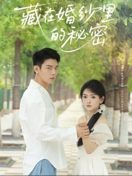 藏在婚纱里的秘密,藏在婚纱里的秘密免费下载,电影云集_电影云集影视网