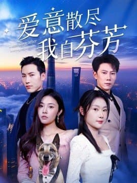 爱意散尽我自芬芳,爱意散尽我自芬芳免费下载,短剧,电影云集_电影云集影视网