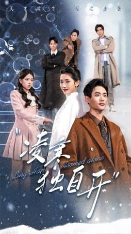 凌寒独自开,秦远,汪巧,短剧,热门短剧,热播短剧,爆款短剧,短剧推荐,资源分享,短剧热度榜,好剧推荐,追剧打卡_电影云集影视网