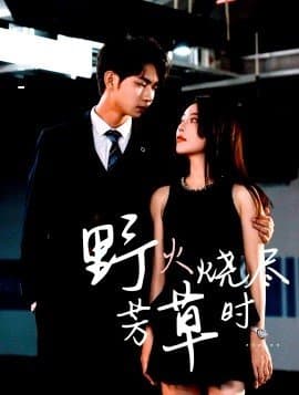 野火烧尽芳草时,野火烧尽芳草时免费下载,电影云集_电影云集影视网