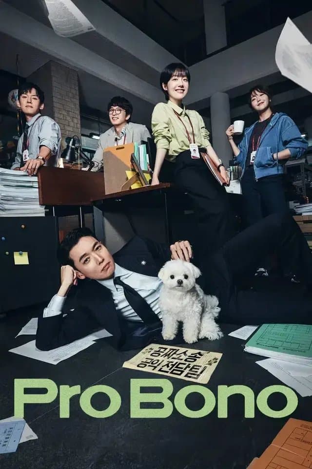 [夸克网盘] 《公益律师》 (2025) - 韩剧 喜剧 1080P 中文字幕