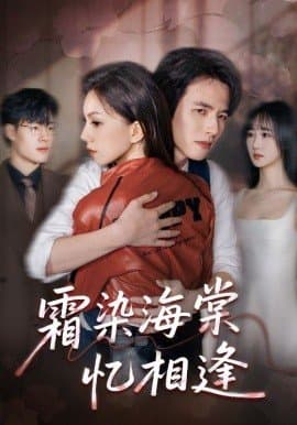 霜染海棠忆相逢,霜染海棠忆相逢免费下载,短剧,电影云集_电影云集影视网